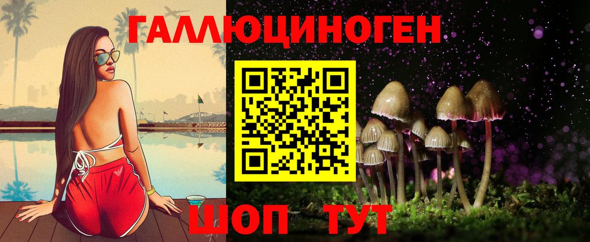 Псилоцибиновые грибы MAGIC MUSHROOMS  Вход с VPN  Балашов 